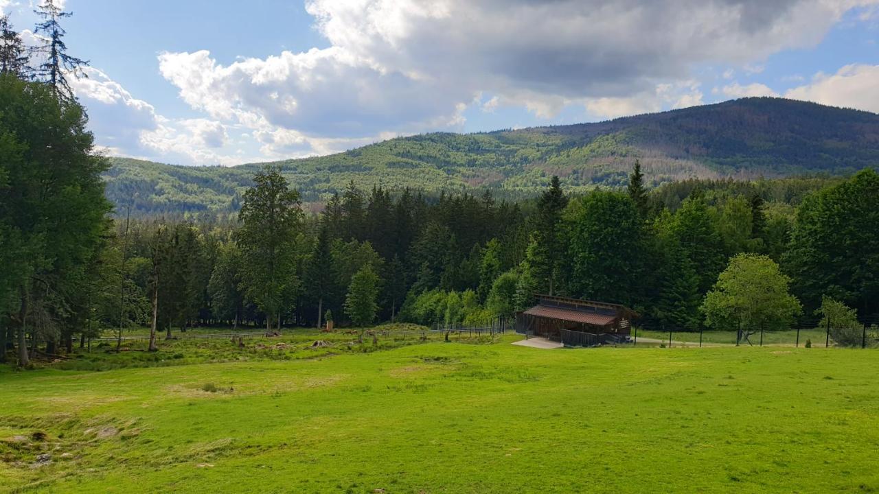 Apartment Haus Bergblick *