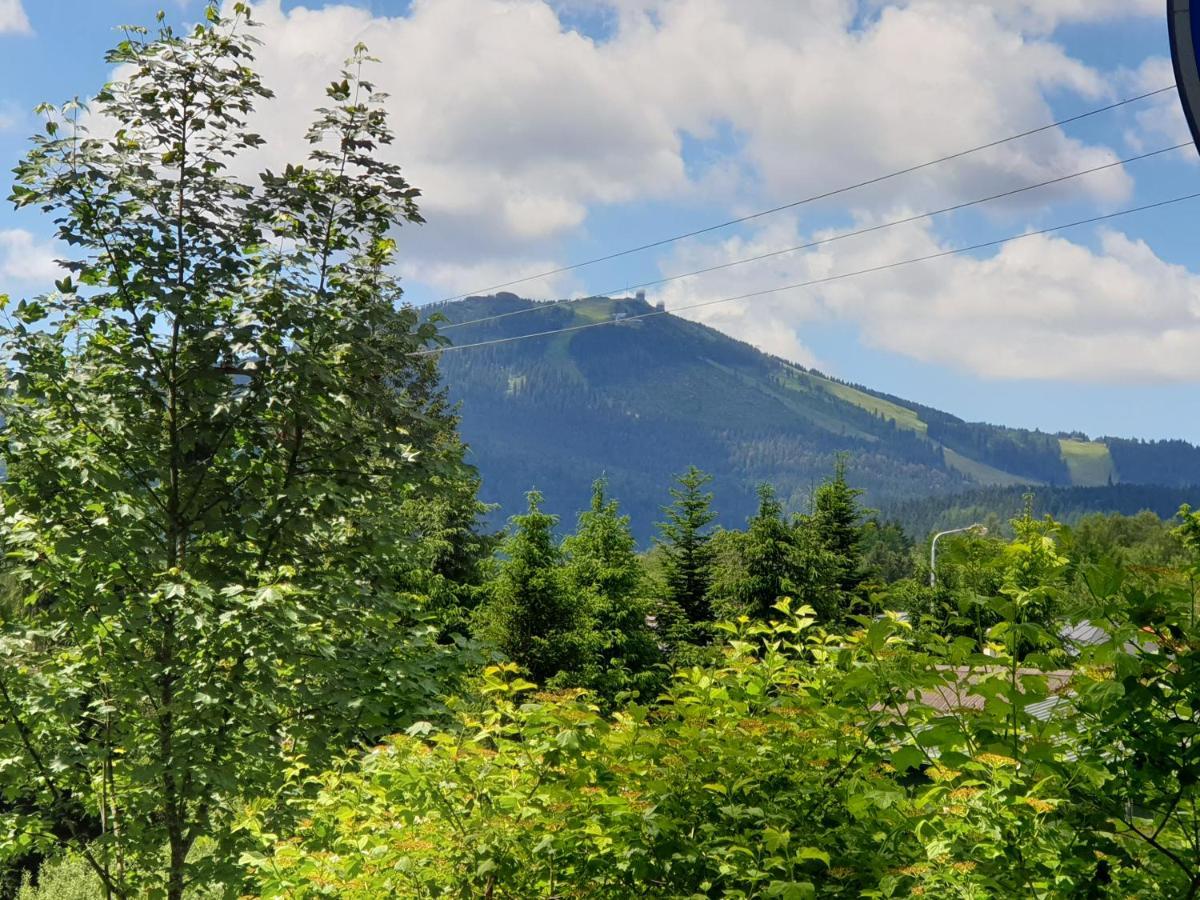 Apartment Haus Bergblick