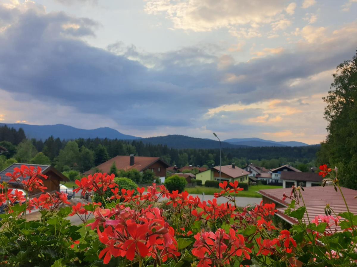 Haus Bergblick Apartment *