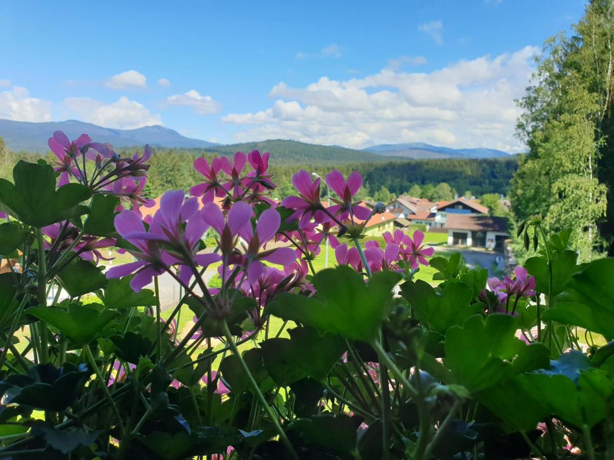 Apartment Haus Bergblick