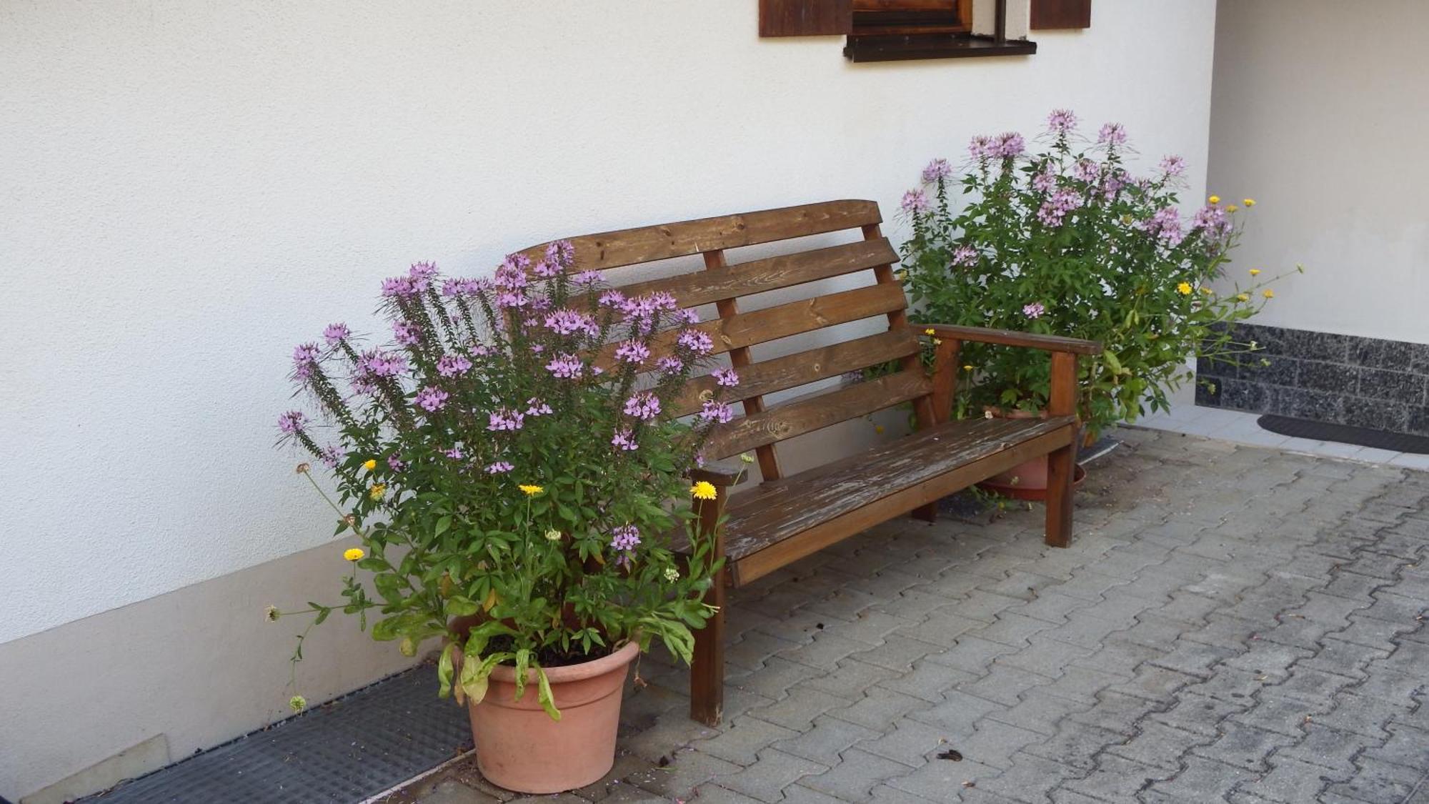 Apartment Haus Bergblick